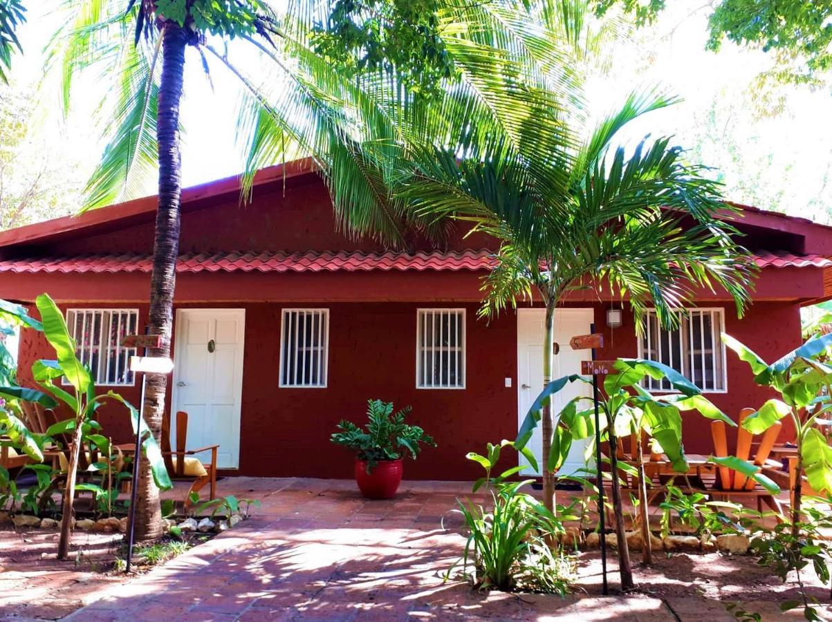 Hotel Casa Mapache Tamarindo Exterior foto